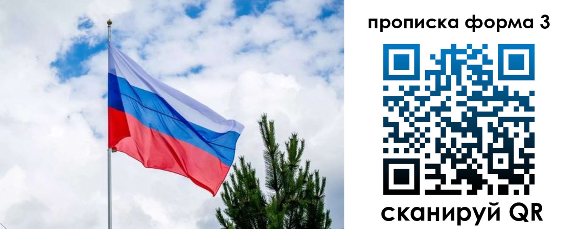 прописка для школы в Нововоронеже